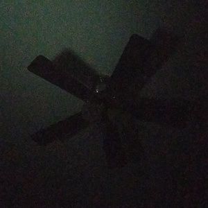 Meet your Posher, Jessie